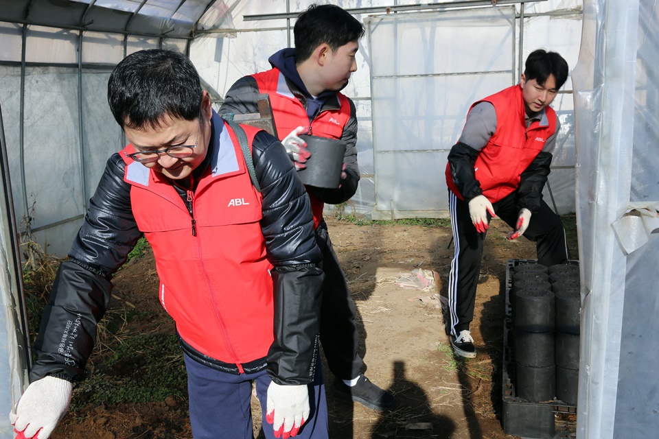 ABL생명 조끼를 입고 직원들이 연탄을 비닐하우스 안에 쌓고있는 사진